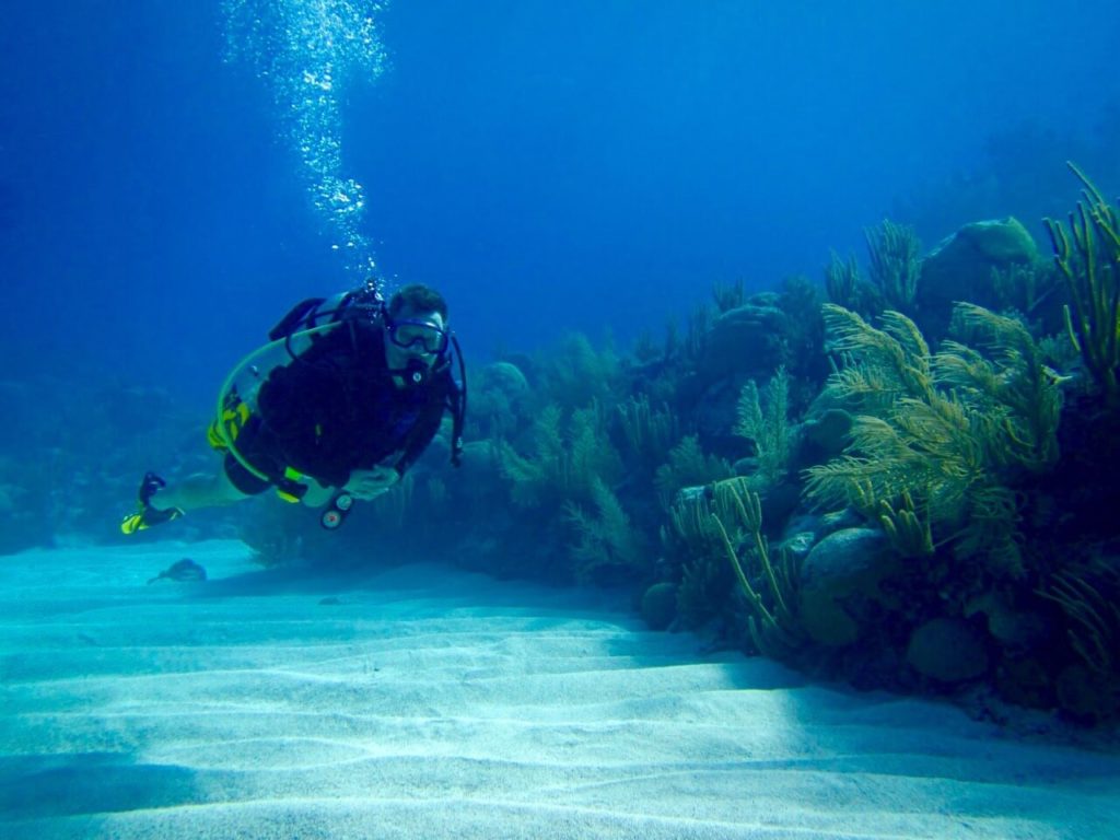 Steve Blum scuba diving near some underwater plants