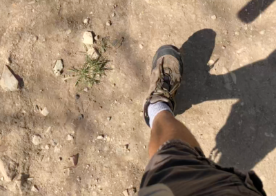 Steve Blum's foot during walking meditation