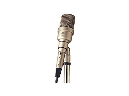 Steve Blum recommends Gefell M930 Large Diaphragm Microphone