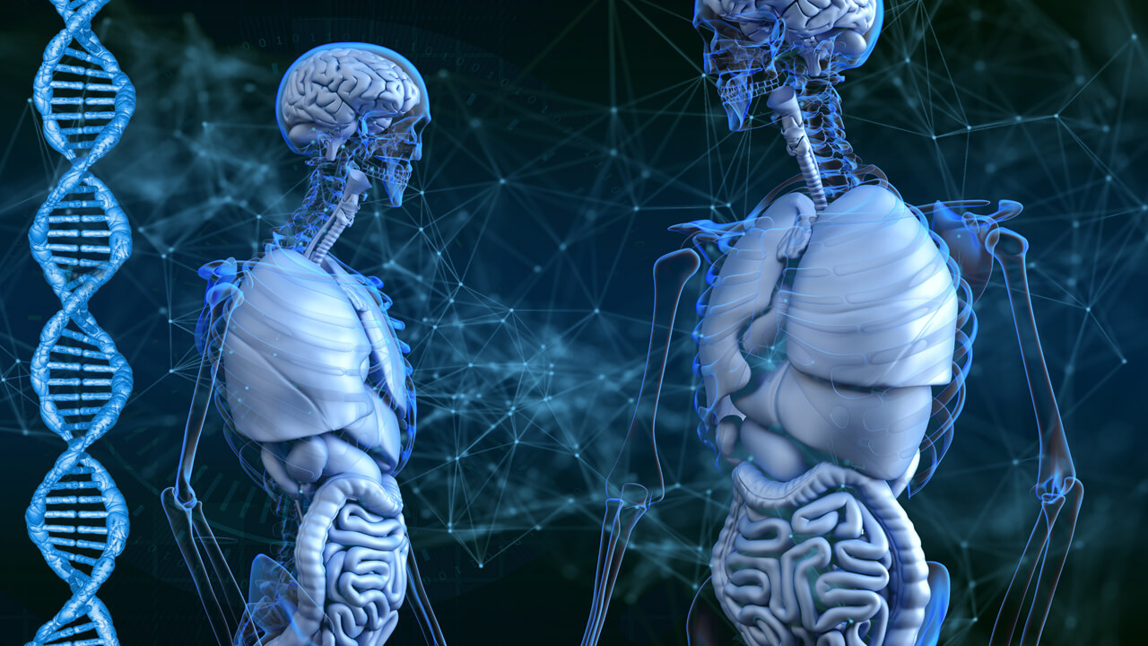 Anatomical views of two people with a dark blue background and DNA strand on the left