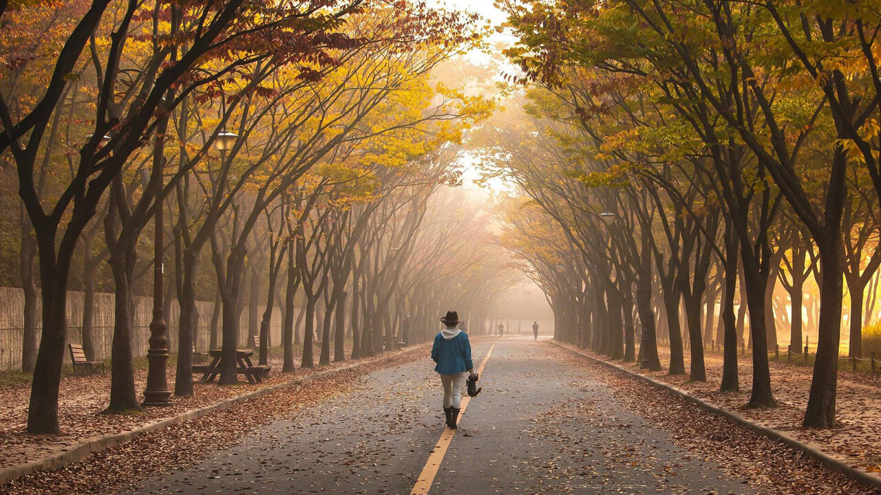 What do you want- Person walking down road with yellow trees hanging over