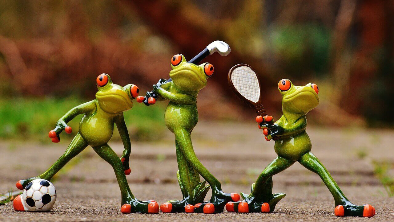 Competition image: Photo of three frogs practicing three different sports