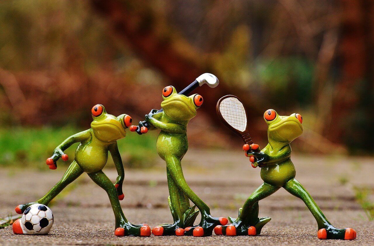 Competition image: Photo of three frogs practicing three different sports