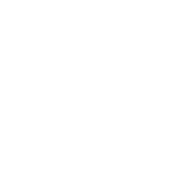 Practical Training